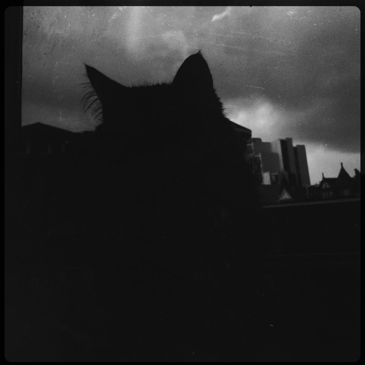 Tony silhouetted against a moody window